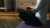 thumb-image-18028140